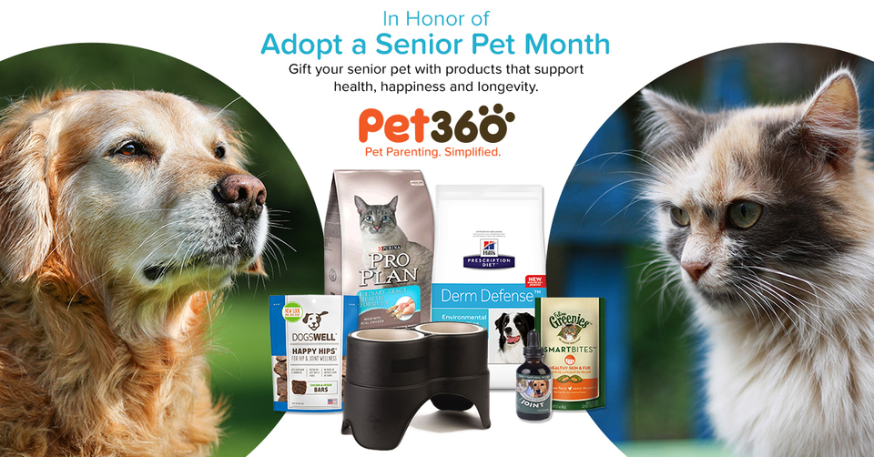 Pet360 Senior Pet Month Facebook Cover