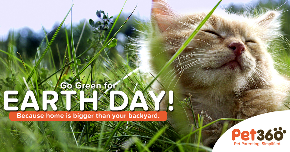 Pet360 Earth Day Facebook Cover